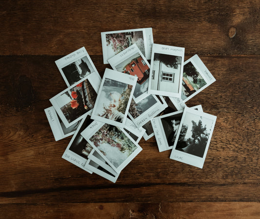 Le pouvoir de l'odorat : comment les parfums capturent nos émotions